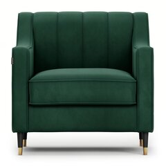 Krēsls Homede Pepper, zaļš цена и информация | Кресла в гостиную | 220.lv