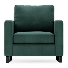 Кресло Homede Corni, зеленое цена и информация | Кресла в гостиную | 220.lv