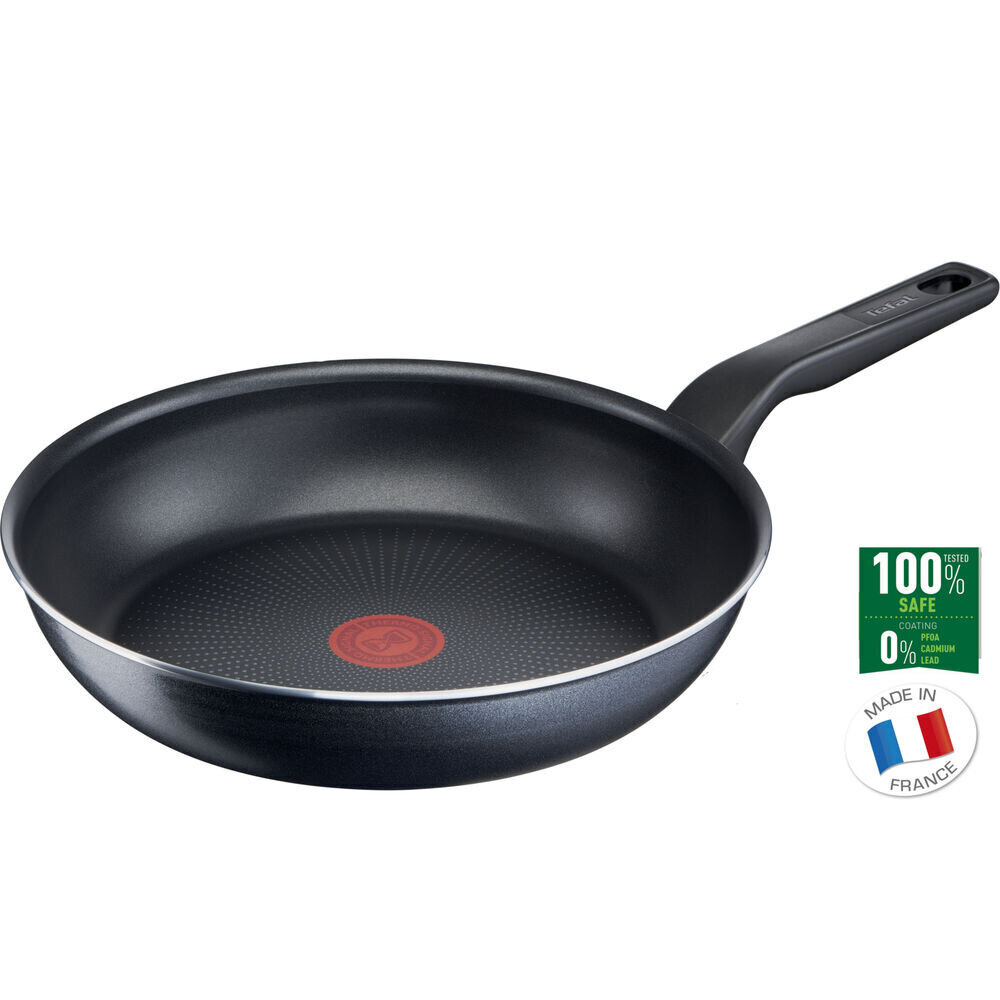 Panna Tefal XL FORCE Ø 24 cm цена и информация | Pannas | 220.lv