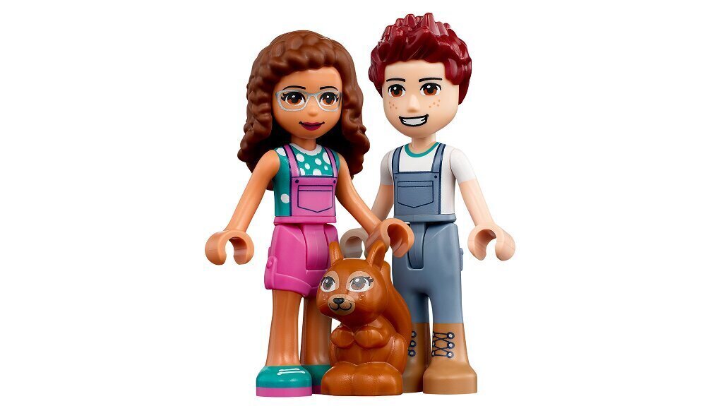 41707 LEGO® Friends Koku stādīšanas mašīna цена и информация | Konstruktori | 220.lv