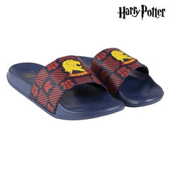 Pludmales sandales Harry Potter Gryffindor: Apavu Izmērs - 39 цена и информация | Атрибутика для игроков | 220.lv