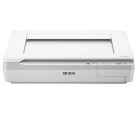 Epson Singlepack Matte Black T596800 Ult цена и информация | Сканеры | 220.lv