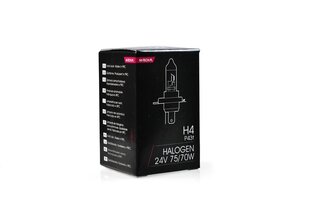 Галогенная лампа M-Tech H4 24В цена и информация | Автомобильные лампочки | 220.lv
