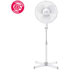 Grīdas ventilators SENCOR SFN 4044 WH cena un informācija | Ventilatori | 220.lv