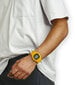 Vīriešu pulkstenis, Casio G-SHOCK DWE-5600R-9ER cena un informācija | Vīriešu pulksteņi | 220.lv