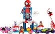 10784 LEGO® Super Heroes Marvel Zirnekļcilvēka zirnekļtīklu māja cena un informācija | Konstruktori | 220.lv