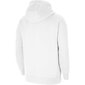 Balts vīriešu džemperis Nike Team Club 20 CW6894 101 cena un informācija | Vīriešu jakas | 220.lv