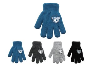 Детские перчатки Rak R-102DB, синие цена и информация | Зимняя одежда для детей | 220.lv