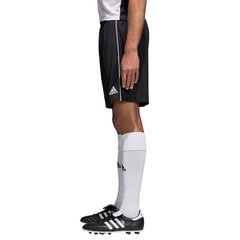 Шорты для мужчин Adidas Core 18 TR Short, черные цена и информация | Мужская спортивная одежда | 220.lv