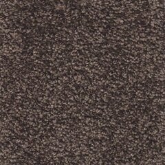 Paklājs Aruba, brūnā krāsā - dažādi izmēri, 80 x 150 cm cena un informācija | Paklāji | 220.lv
