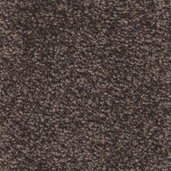 Paklājs Aruba, brūnā krāsā - dažādi izmēri, 133 x 200 cm цена и информация | Ковры | 220.lv