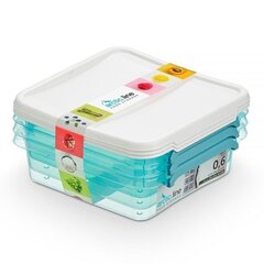 Комплект контейнеров для хранения продуктов Orplast Arctic Line Box, 0.6 л цена и информация | Посуда для хранения еды | 220.lv