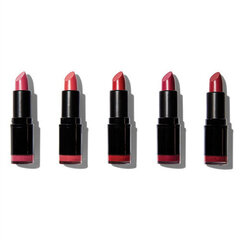 Lūpu krāsu komplekts Red Lipstick Collection, 5 x 3.2 g cena un informācija | Lūpu krāsas, balzāmi, spīdumi, vazelīns | 220.lv