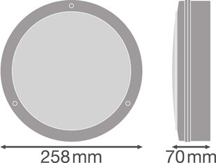 Sienas lampa, griestu lampa Ledvance Surface Bulkhead 250, 10W, 3000K, 800lm. cena un informācija | Griestu lampas | 220.lv