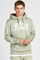 Sporta džemperis vīriešiem JACK & JONES, 12152840TEA cena un informācija | Vīriešu jakas | 220.lv