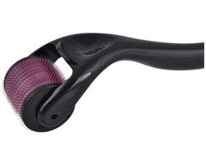 Derma Roller игольчатый ролик, 0,3 мм цена и информация | Массажеры для лица, инструменты для чистки лица | 220.lv