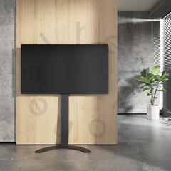 Alterzone Arc 37 "-70" cena un informācija | Monitora turētāji | 220.lv