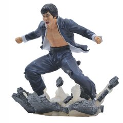 Diamond Select Bruce Lee Gallery Earth PVC цена и информация | Атрибутика для игроков | 220.lv