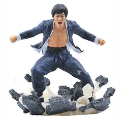 Diamond Select Bruce Lee Gallery Earth PVC цена и информация | Атрибутика для игроков | 220.lv