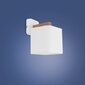TK Lighting gaismeklis Tora White 4161 цена и информация | Sienas lampas | 220.lv