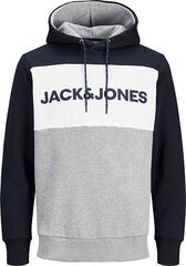 Мужская спортивная кофта Jack & Jones 12172344*01, тёмно-синяя /белая цена и информация | Мужские толстовки | 220.lv