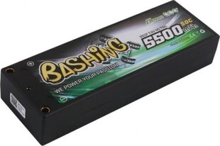Аккумулятор LiPo Gens Ace, 5500 мАч цена и информация | Аккумуляторы | 220.lv