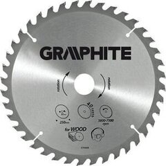 Griešanas disks Graphite, 210x30 mm cena un informācija | Dārza tehnikas rezerves daļas | 220.lv