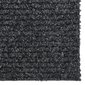 vidaXL netīrumus absorbējošs paklājs-celiņš 100x250cm cena un informācija | Paklāji | 220.lv