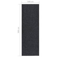 vidaXL netīrumus absorbējošs paklājs-celiņš 100x300cm цена и информация | Ковры | 220.lv