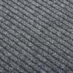vidaXL netīrumus absorbējošs paklājs-celiņš 100x300cm цена и информация | Ковры | 220.lv
