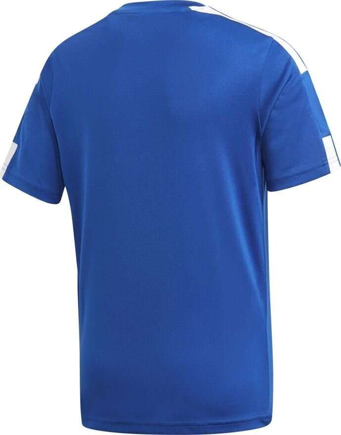 Futbola krekls Adidas Squadra 21 JSY Y GK9151, zils cena un informācija | Futbola formas un citas preces | 220.lv
