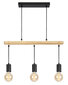 Candellux lighting gaismeklis Izzy 33-78063 цена и информация | Lustras | 220.lv