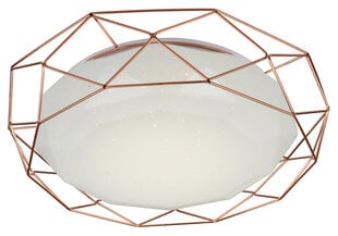 Candellux lighting gaismeklis Sven 98-73174 цена и информация | Потолочные светильники | 220.lv