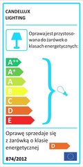 Candellux lighting светильник Golden 94-56217 цена и информация | Потолочные светильники | 220.lv