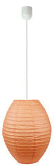 Candellux lighting светильник 31-05670 цена и информация | Candellux Мебель и домашний интерьер | 220.lv