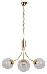 Candellux lighting светильник Dani 33-79015 цена и информация | Люстры | 220.lv