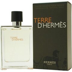 Мужские духи Hermes Terre d'Hermes EDT для мужчин 100 мл цена и информация | Мужские духи | 220.lv