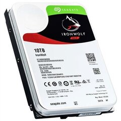 Seagate ST10000VN0008 цена и информация | Внутренние жёсткие диски (HDD, SSD, Hybrid) | 220.lv
