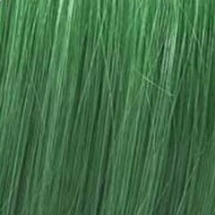 Matu krāsa Wella Color Fresh Create Neverseen Green, 60 ml цена и информация | Краска для волос | 220.lv