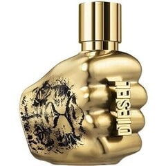 Parfimērijas ūdens Diesel Spirit Of The Brave Intense EDP vīriešiem, 50 ml цена и информация | Мужские духи | 220.lv