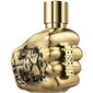 Parfimērijas ūdens Diesel Spirit Of The Brave Intense EDP vīriešiem, 50 ml цена и информация | Vīriešu smaržas | 220.lv
