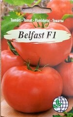 Tomāti Belfast F1 cena un informācija | Dārzeņu, ogu sēklas | 220.lv