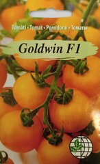 Помидоры Goldwin F1 цена и информация | Семена овощей, ягод | 220.lv