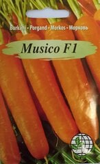 Морковь Musico F1, 2 шт. цена и информация | Семена овощей, ягод | 220.lv