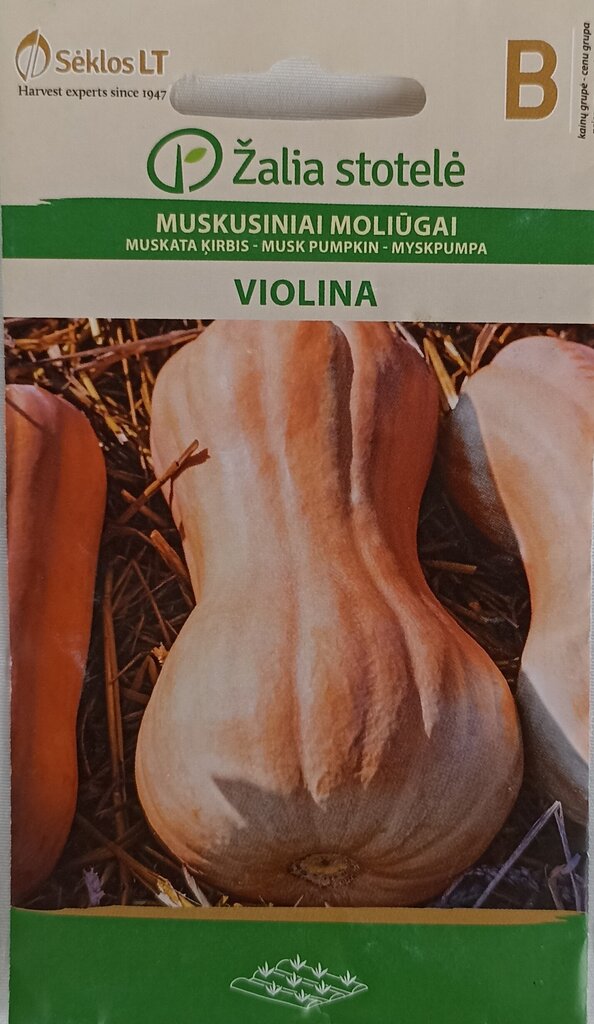 MUSKATA ĶIRBIS VIOLINA cena un informācija | Dārzeņu, ogu sēklas | 220.lv