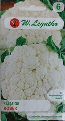 Цветная капуста Робер, 2 шт. цена и информация | Семена овощей, ягод | 220.lv