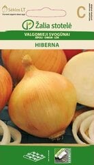 SĪPOLI HIBERNA cena un informācija | Dārzeņu, ogu sēklas | 220.lv