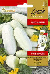 ОБЫЧНЫЕ ОГУРЦЫ КОРОТКИЕ WHITE WONDER цена и информация | Lucia Elite Товары для сада | 220.lv