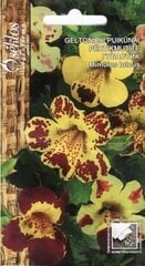 Губастик желтый Tigrinus цена и информация | Семена цветов | 220.lv
