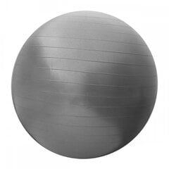 Мяч гимнастический SportVida, 55 см, серый цена и информация | Гимнастические мячи | 220.lv